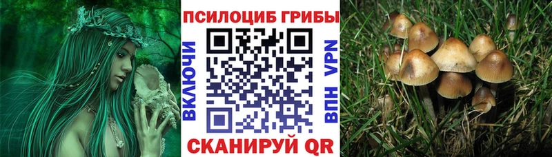 Галлюциногенные грибы мицелий  купить   Любим 